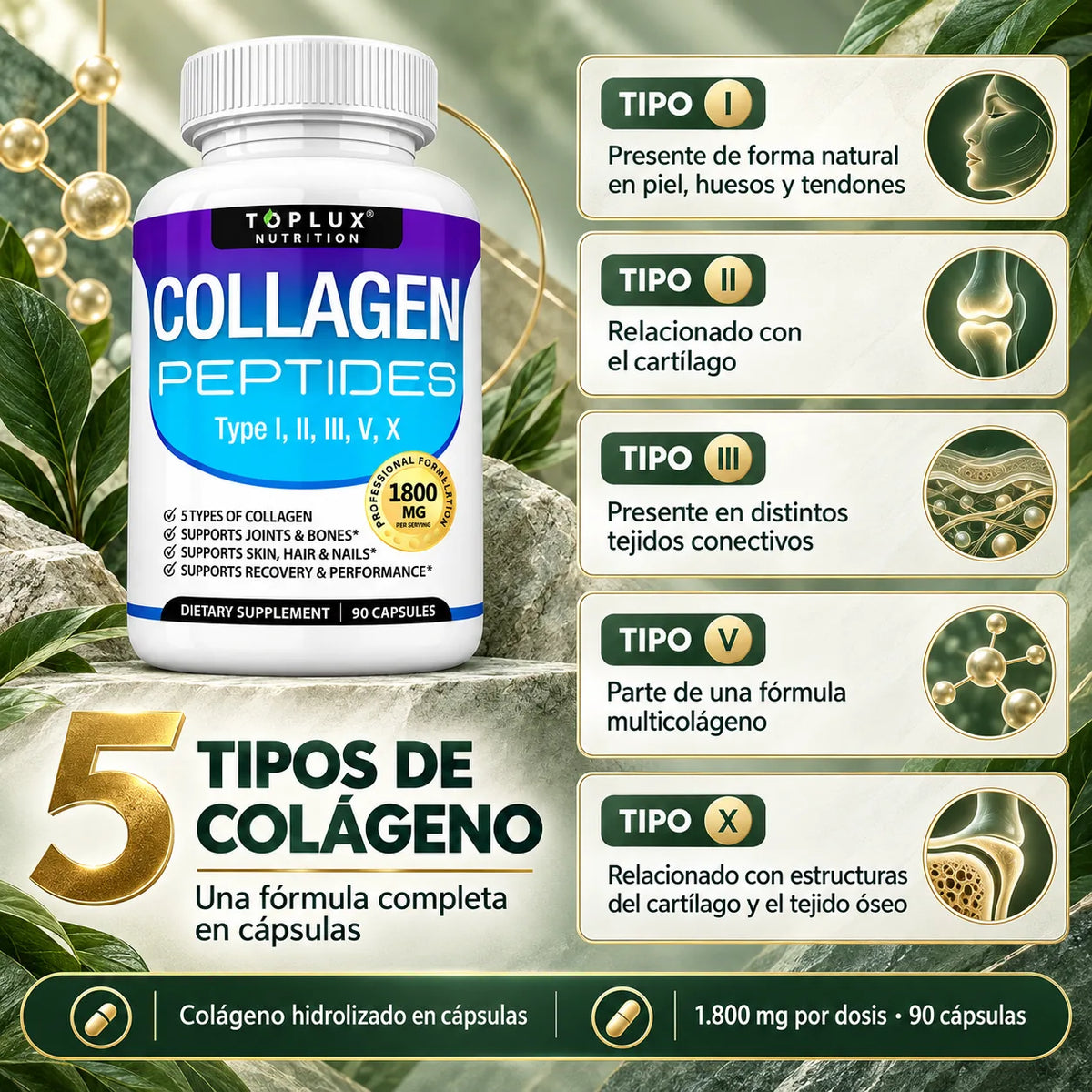 Colágeno MADOVA · Tu rutina diaria 40+